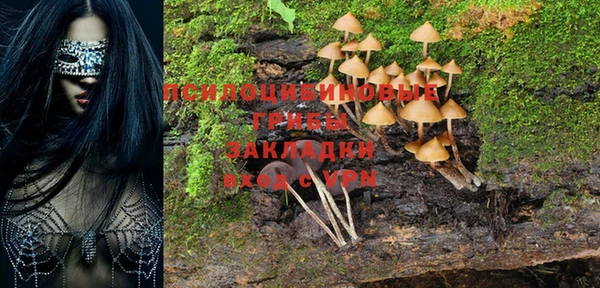 соль курить ск Алексеевка